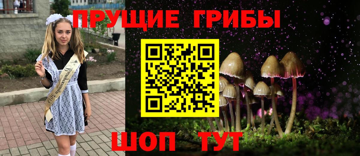 Галлюциногенные грибы мицелий Бутурлиновка