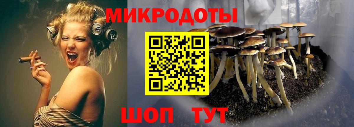 Бутурлиновка  Галлюциногенные грибы мухоморы  Вход с VPN 